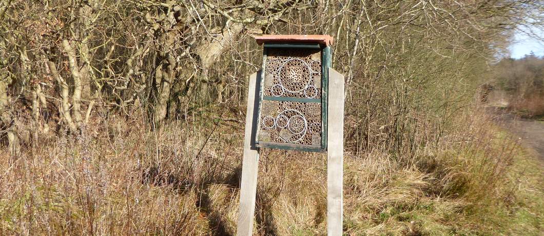 Een bijenhotel langs mijn wandeling door de duinen bij Heemskerk