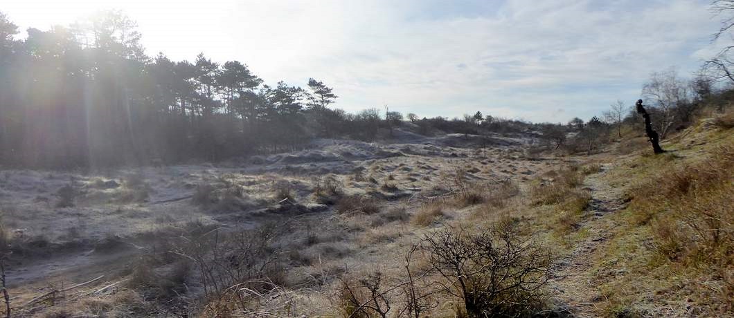 Duinvallei met rijp wandelend in de duinen bij Heemskerk