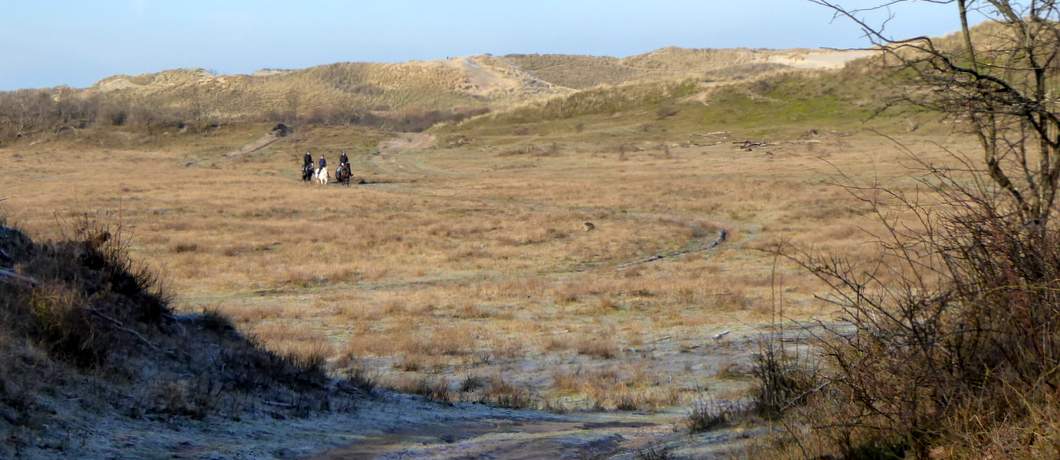 Ruiterpaden kruisen regelmatig de wandelpaden in de duinen bij Heemskerk