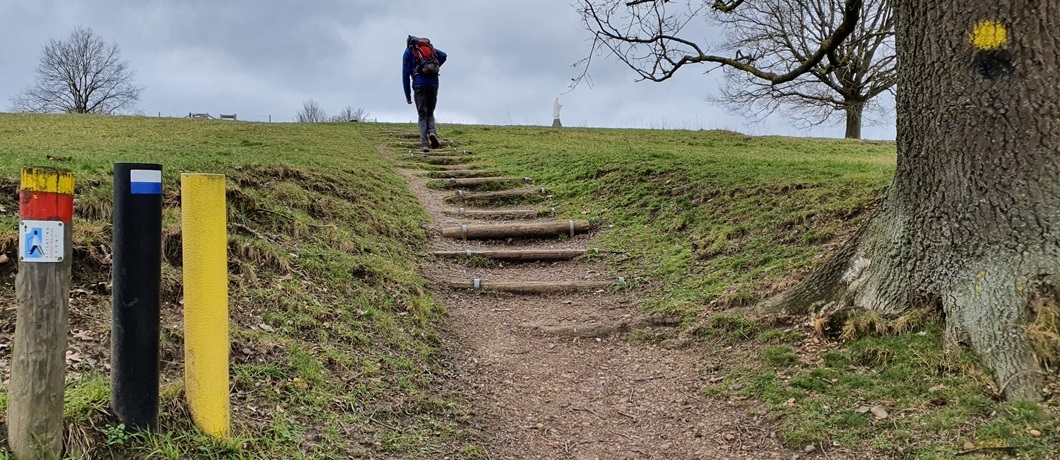 Bijna op de top van de Gulperberg. Op het middelste paaltje duidelijk zichtbaar de wit-blauwe markering van de Dutch Mountain Trail.