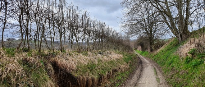 Eén van de vele holle wegen die je op de route tegenkomt