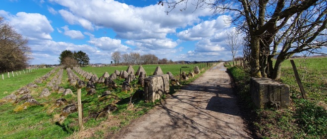 Bij Horbach passeer je de Westwall, ook wel Siegfriedlinie. De Duitsers bouwden deze grensversterking in de jaren ’30 van de vorige eeuw