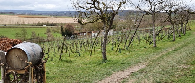 Bij Wahlwiller loop je deels over de Route des Vins. De Route des Vins is een bewegwijzerde wijnroute waarbij je maar liefst vijf wijngaarden met verbluffende uitzichten passeert.