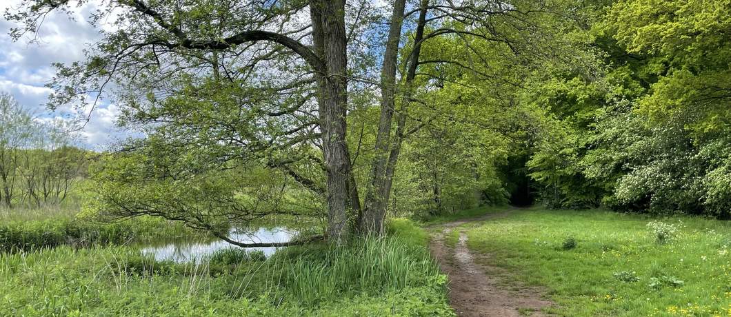 Veel romantische beken en paden tijdens het wandelen rond Roden