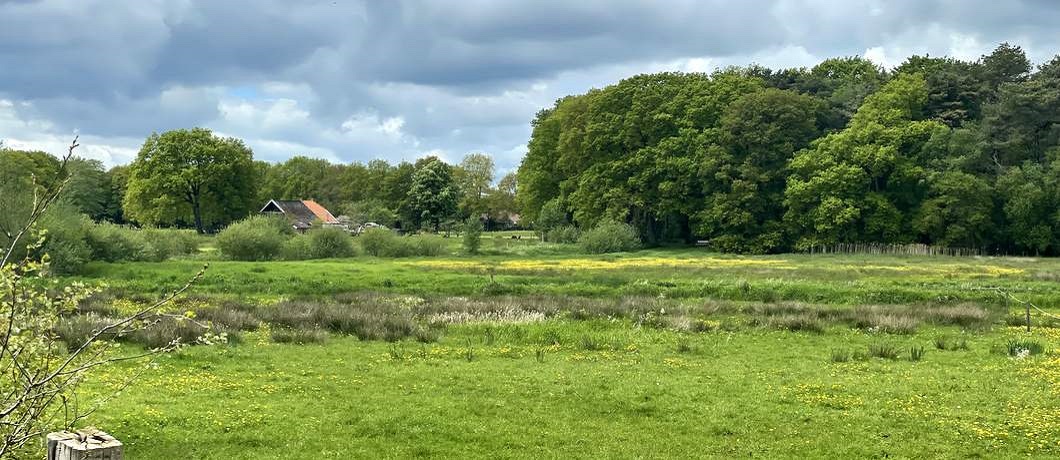 Een lieflijk landschap zonder rechte weilanden tijdens het wandelen rond Roden
