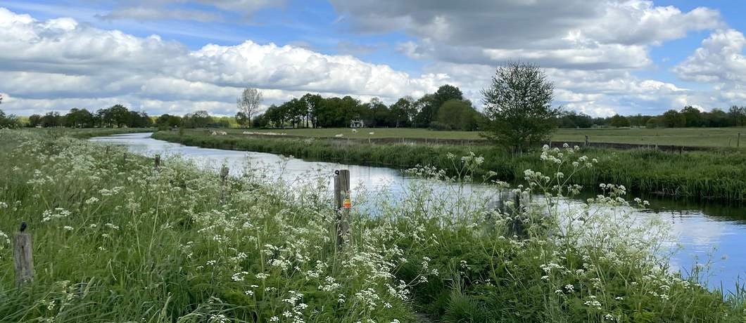 De nog rechtgetrokken beek Peizerdiep tijdens het wandelen rond Roden