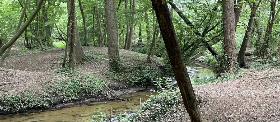 Land Rover Defender huren en rijden over zand- en bospaden