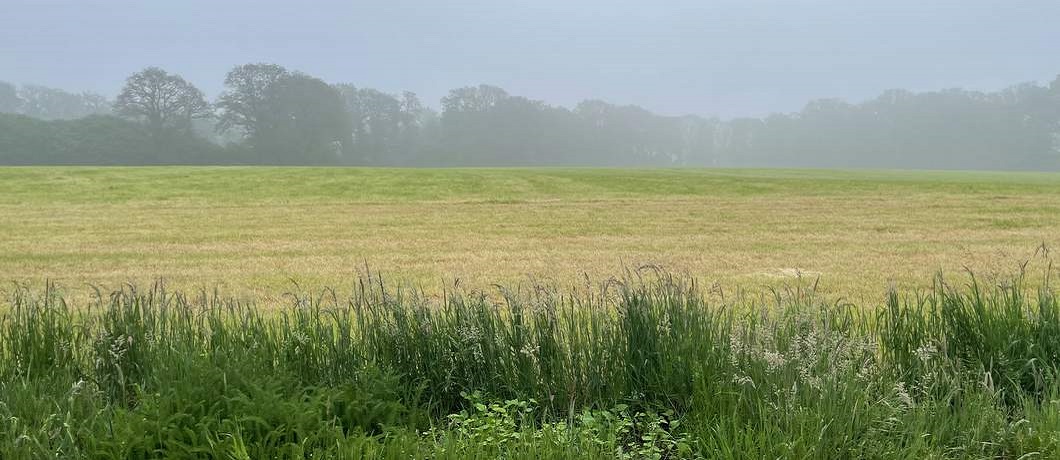 Overnachten met de gehuurde Land Rover Defender aan de savanne van de Achterhoek