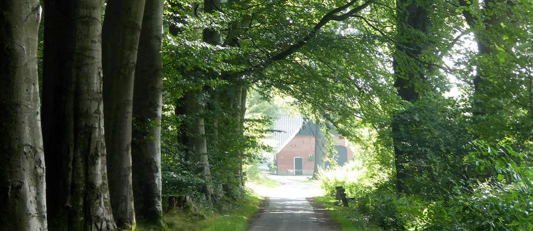 Af en toe een boerderij tijdens de fietsroute Stiltegebieden in Twente