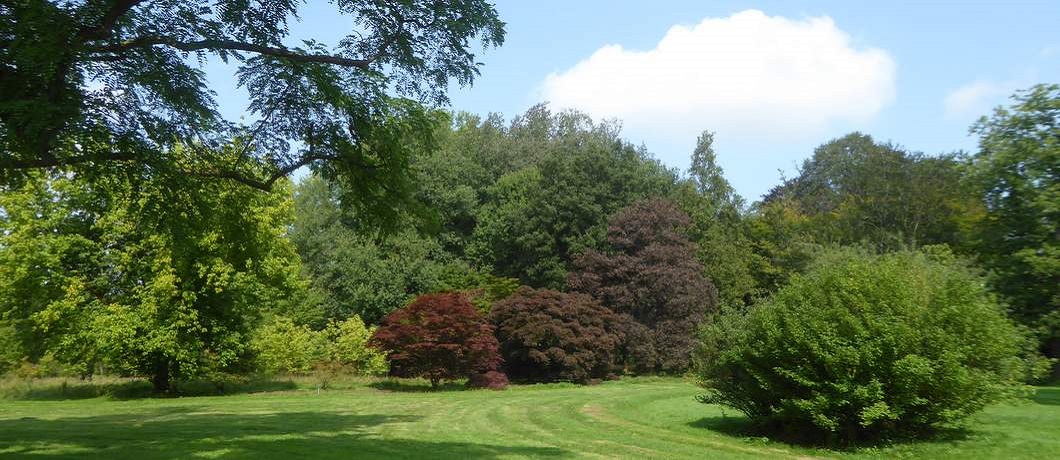 Langs arboretum Poort Bulten met 2500 bomen onderweg bij de fietsroute Stiltegebieden in Twente