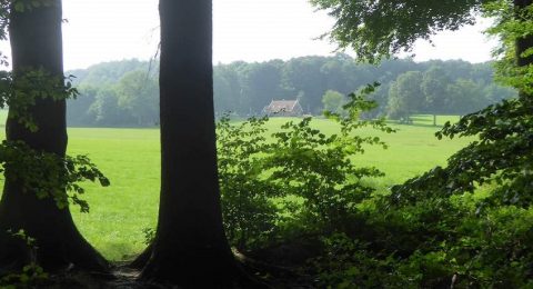 Fietsroute Stiltegebieden in Twente door afwisselend landschap