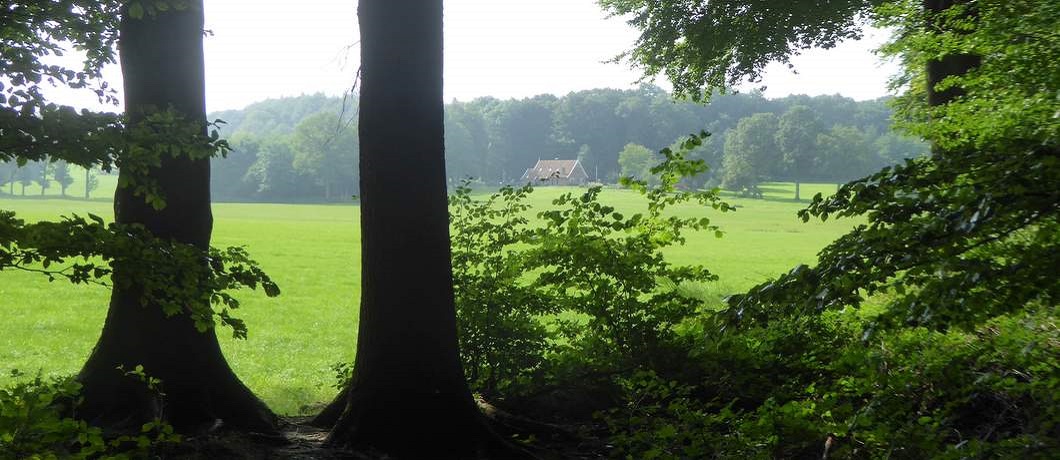Heuvellandschap tijdens de fietsroute Stiltegebieden in Twente