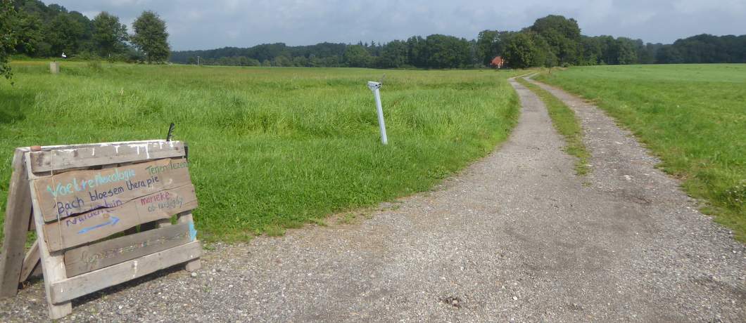 Tenen laten lezen kan tijdens de fietsroute Stiltegebieden in Twente