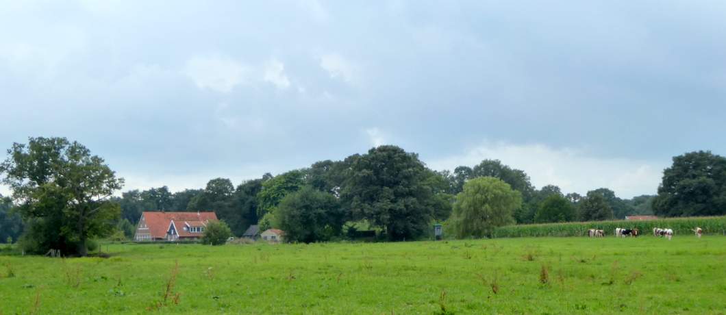 Kleinschalig boerenland tijdens de wandeling Twekkelo Kristalbad