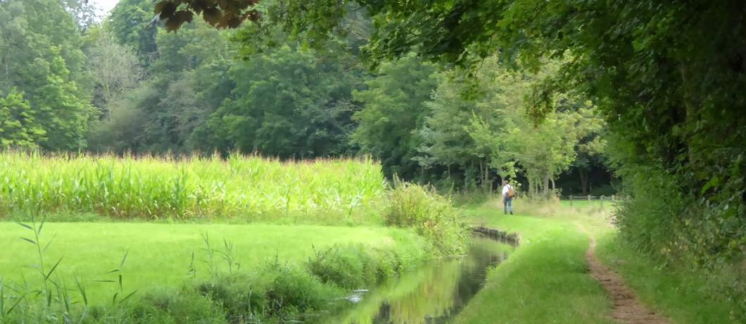Tussen bos en velden door tijdens de wandeling Twekkelo Kristalbad