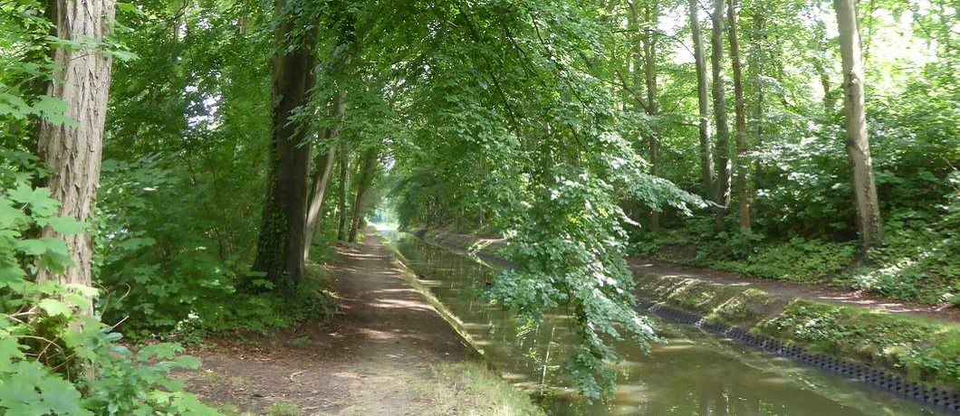 Mooi recht pad met statige bomen langs het water tijdens de wandeling Twekkelo Kristalbad