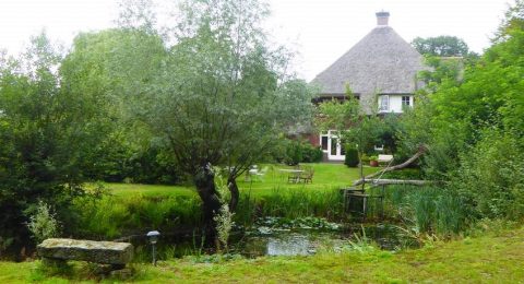 De enorme tuin met vijver van B&B Villa Boskamp bij Enschede