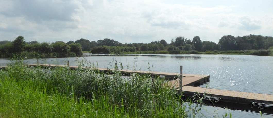 Vlonderpad langs het Kristalbad tijdens de wandeling Twekkelo Kristalbad