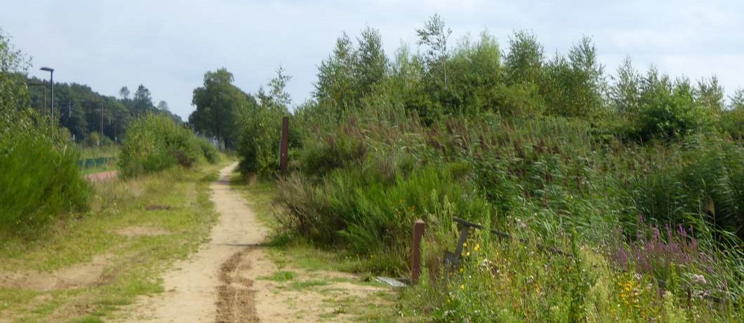 Open zandpad langs het Kristalbad tijdens de wandeling Twekkelo Kristalbad