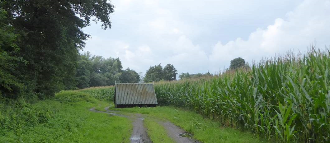 Het pad is om het zouthuisje heen gelegd merk je tijdens de wandeling Twekkelo Kristalbad