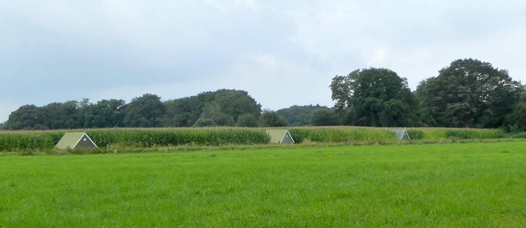 Een rij met zouthuisjes tijdens de wandeling Twekkelo Kristalbad