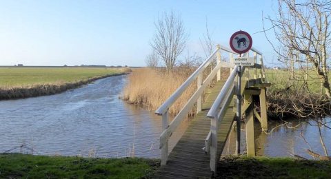 St. Odulphuspad: wandelen in de voetsporen van een heilige in Zuidwest-Friesland