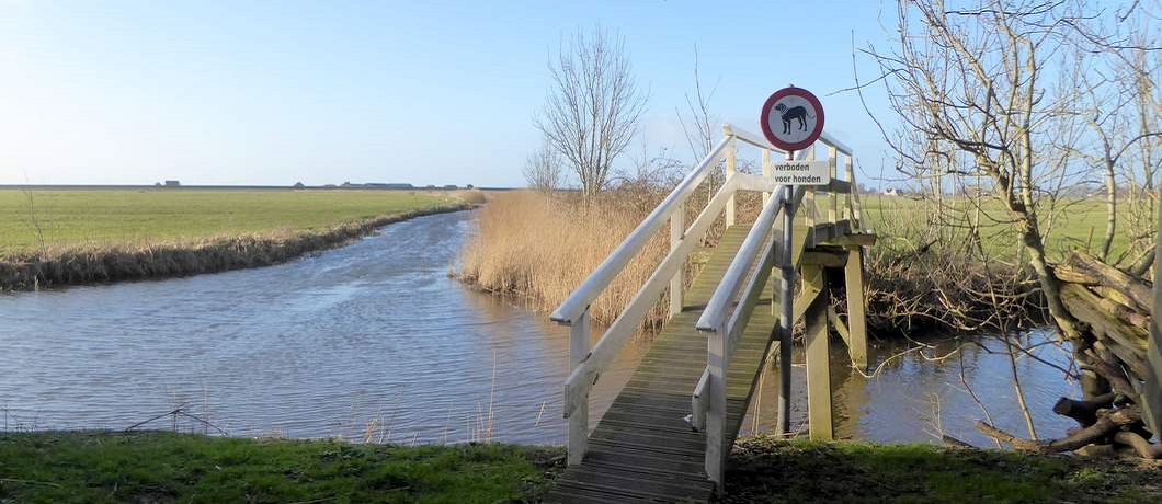 Een van de acht bruggetjes van Tillefonne, onderdeel van het St. Odulphuspad