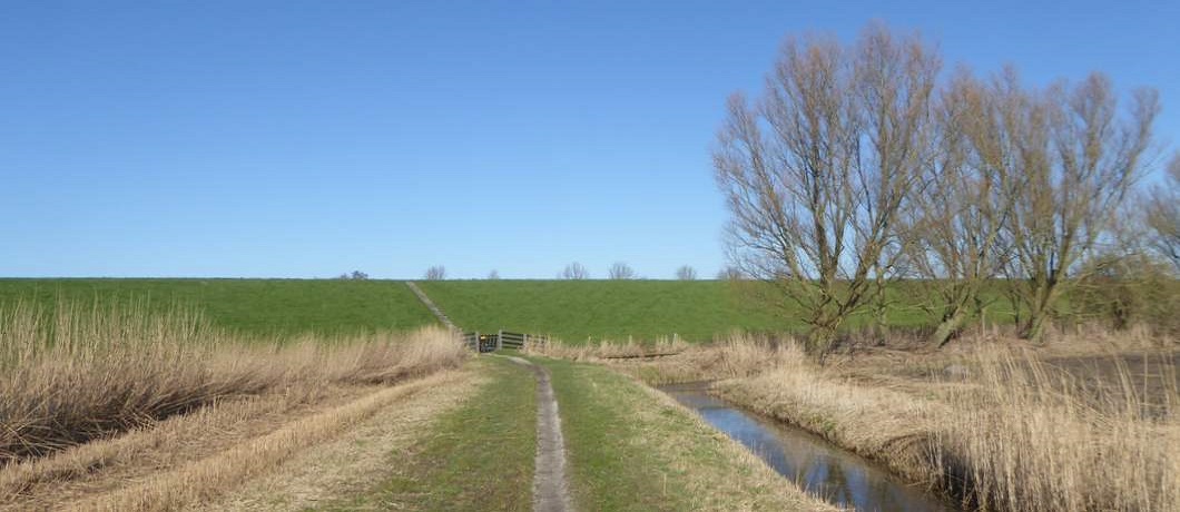 De oude zeedijk onderdeel van Camino Vespers vanuit Workum