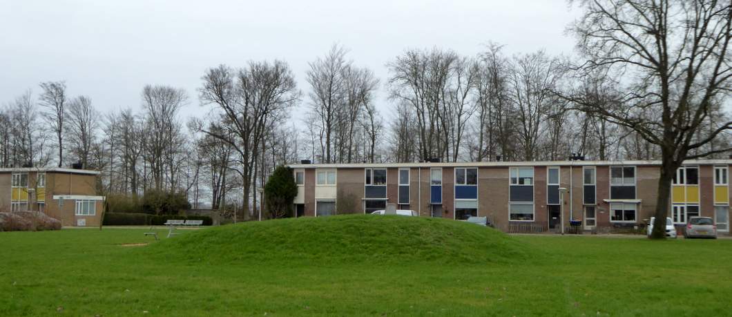 Een van de woonhoven met grasveld in Nagele.