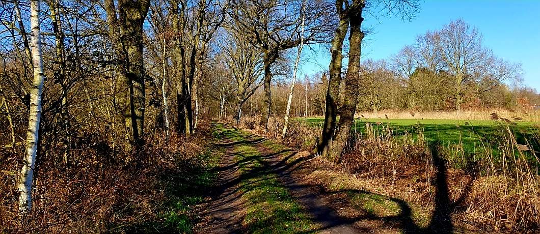 Wandelen langs de bosrand bij de Trage Tocht Gemonde in de Meierij