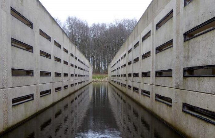 In de Deltagoot van het Waterloopbos kijken