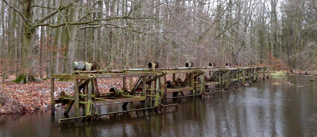 Golfmachines om de haven van Libië na te bootsen De bijzondere tongvaren Waterregulering in het Waterloopbos