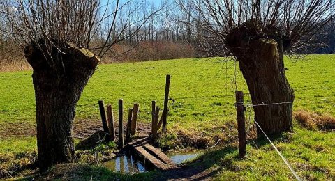 Trage Tocht Gemonde: wandelen in de Brabantse Meierij