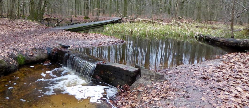 Stroomversnelling in het Waterloopbos