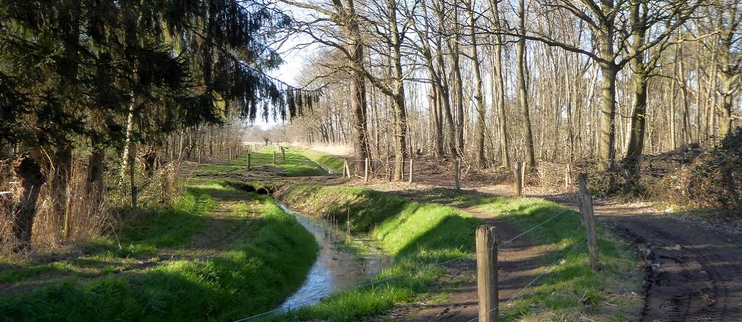 Wandelpad kronkelt langs de sloot bij de Trage Tocht Gemonde