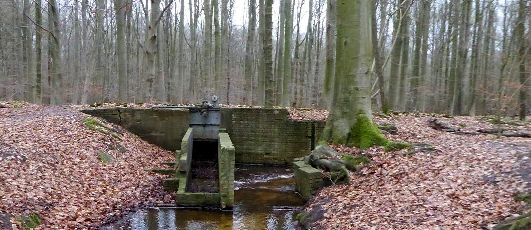 Waterregulering in het Waterloopbos