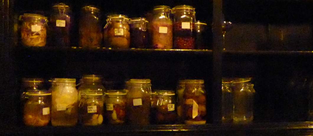 Een wand vol potten met groenten die fermenteren in restaurant The Green Rose in Arnhem