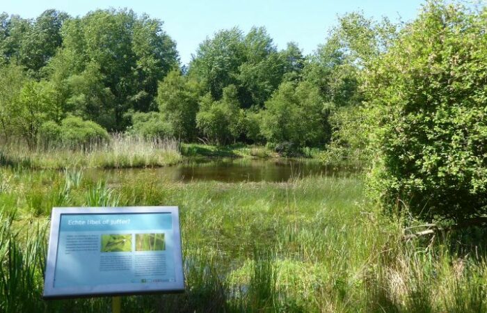 Informatiebord bij libellenreservaat Wyldemerk