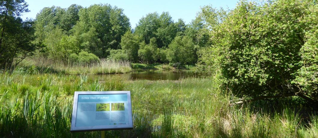 Informatiebord bij libellenreservaat Wyldemerk