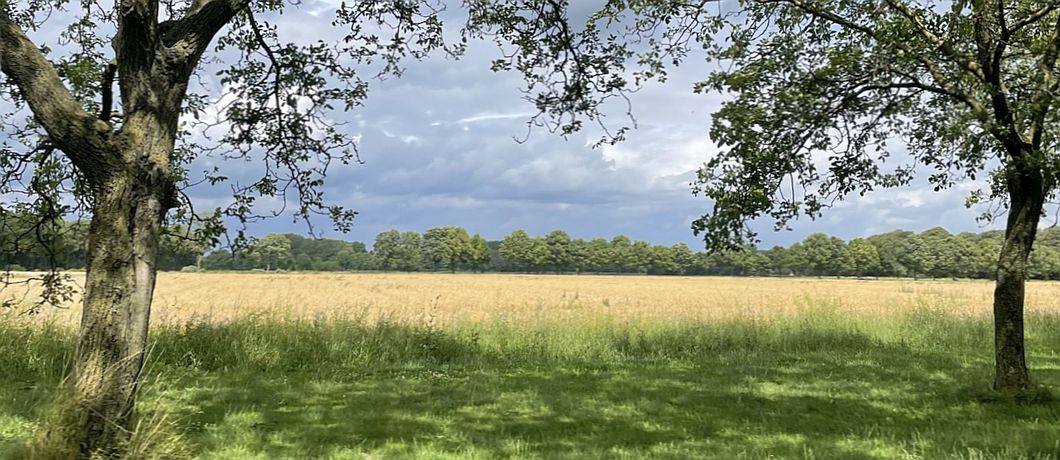 De velden rondom landgoed Mariëwaerdt waar je prachtig kunt wandelen en lunchen als je met de Blokhutboot op pad bent