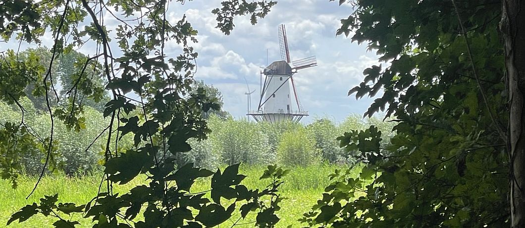 Molen De Vlinder aan de Linge gezien vanaf de Blokhutboot