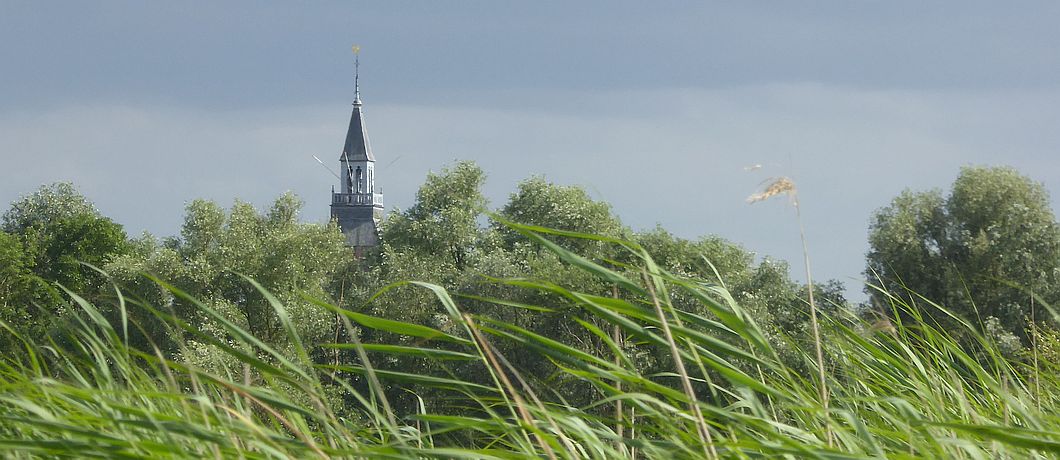 De kerktoren die boven het riet uitsteekt gezien vanaf de Blokhutboot