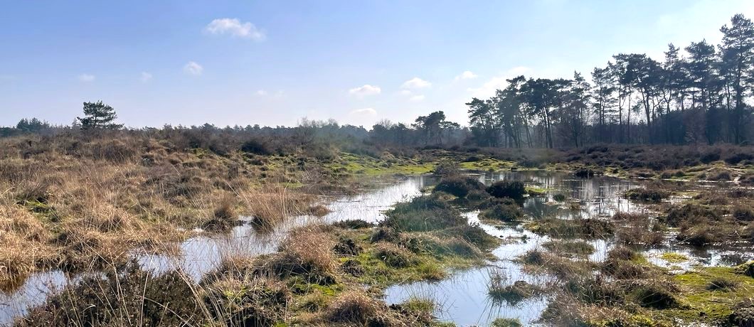 Drassig gebied met plasjes tijdens de Trage Tocht Den Treek Henschoten.