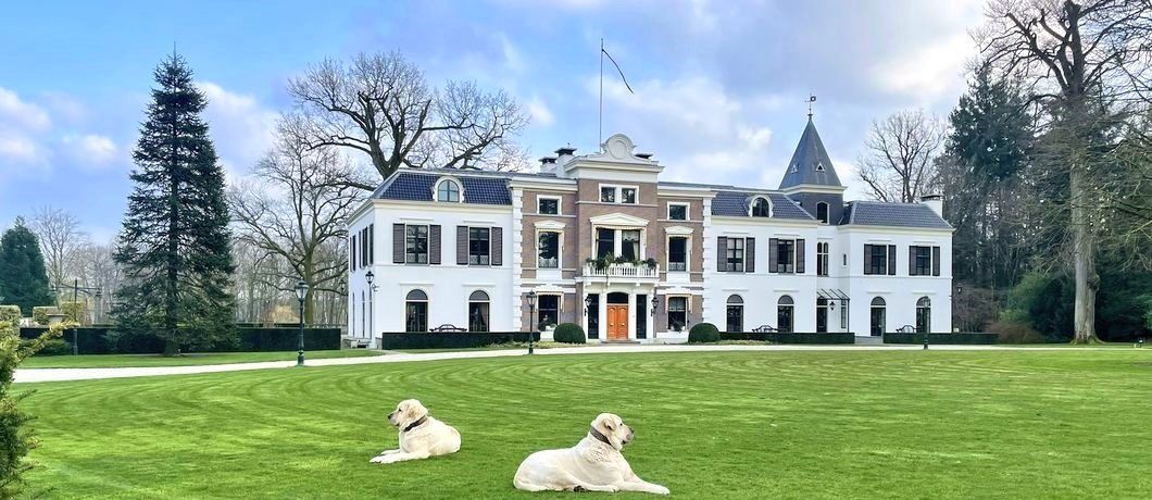 Huize Den Treek met de honden op het gazon tijdens de Trage Tocht Den Treek Henschoten.