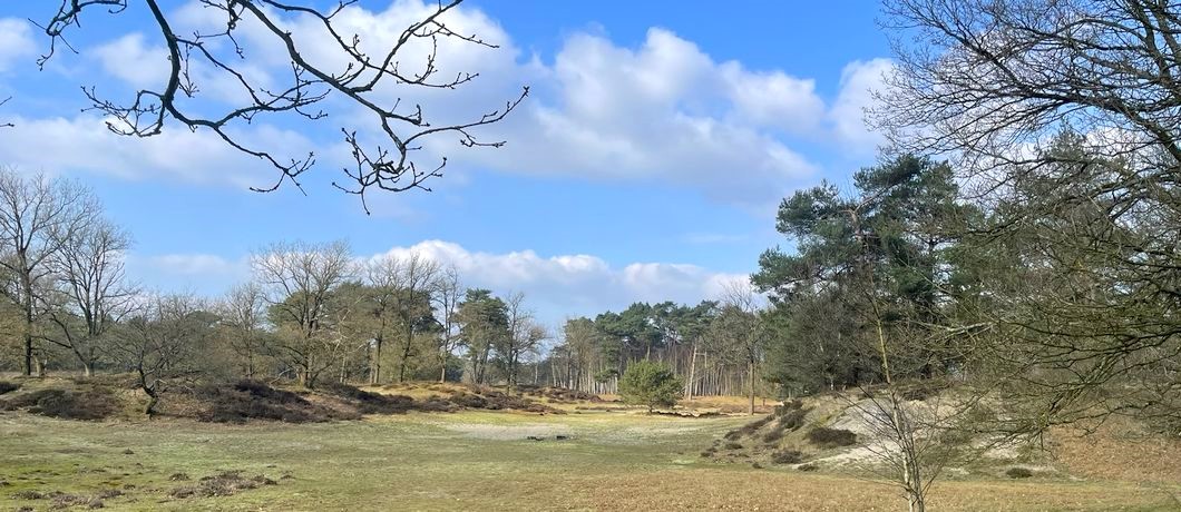Vergrasde zandverstuiving tijdens de Trage Tocht Den Treek Henschoten.
