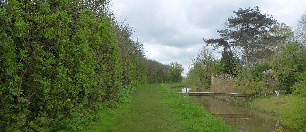 Graspad langs een sloot tijdens de bloesemwandeling over het Errekomsepad.