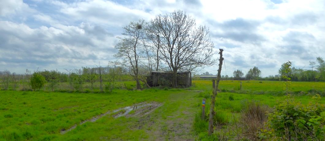 Door de velden en het gras tijdens de bloesemwandeling over het Errekomsepad.