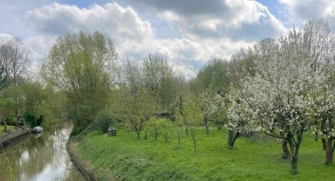 Errekomsepad voor een mooie bloesemwandeling in de Betuwe