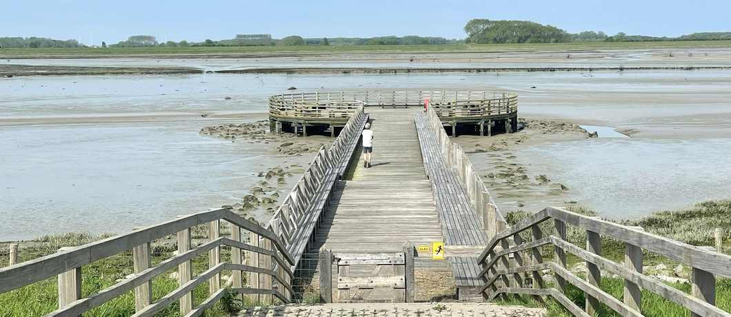 Uitkijkpunt van de slufter en natuurgebied 't Zwin, vlakbij het vakantiehuis in Terhofstede.