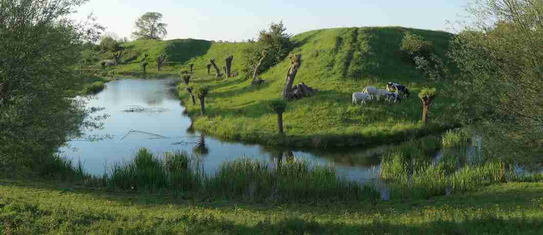 De vestingwallen van Retranchement met avondzon en koeien. Vijf minuten lopen vanaf Terhofstede.